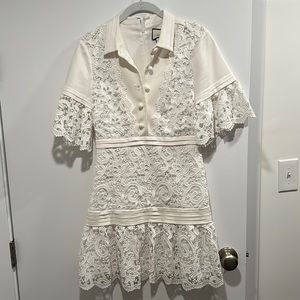 Alexis lace mini dress